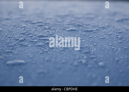 Close up du gel sur un matin d'hiver Banque D'Images