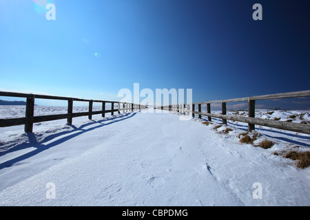 Route enneigée en plateau utsukushigahara, Nagano au Japon Banque D'Images