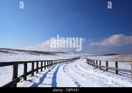 Route enneigée en plateau utsukushigahara, Nagano au Japon Banque D'Images