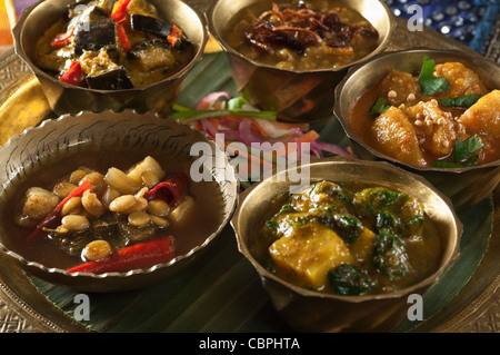 Repas Thali India food Banque D'Images