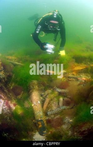 Épave sous-marine - chalutier mine Collective 'paysan', submergée par la mer Noire en Ukraine. Banque D'Images