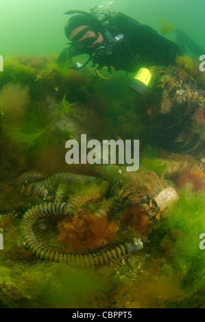 Épave sous-marine - chalutier mine Collective 'paysan', submergée par la mer Noire en Ukraine. Banque D'Images