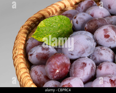 Un panier avec des prunes en gris retour Banque D'Images