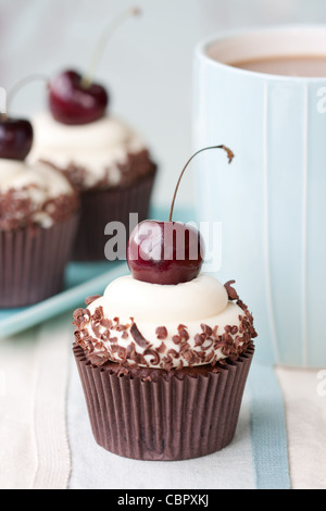 Cupcakes forêt noire Banque D'Images