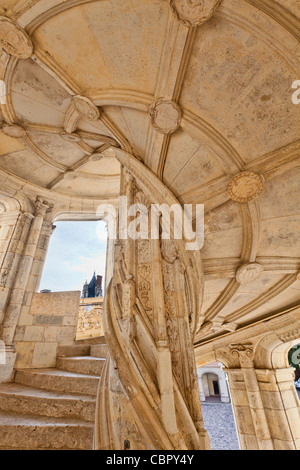 Vallée de la Loire, le château de Blois Banque D'Images