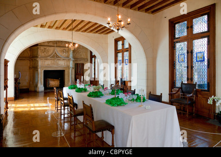 Vallée de la Loire, le Château de Chaumont sur Loire Banque D'Images