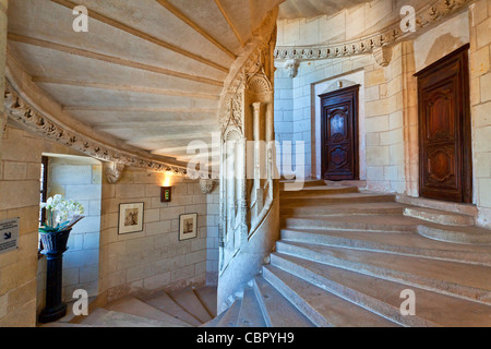 Vallée de la Loire, le Château de Chaumont sur Loire Banque D'Images