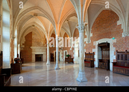 Vallée de la Loire, château d'Amboise Banque D'Images