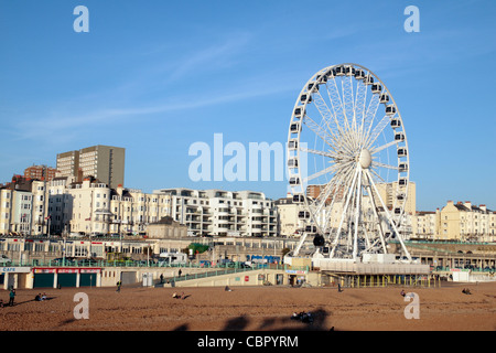 La roue de Brighton (grande roue) sur le front de mer de Brighton, East Sussex, Angleterre. Banque D'Images