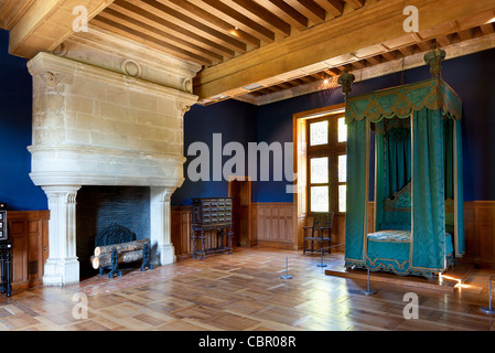 Vallée de la Loire, Azay-le-Rideau Château Banque D'Images