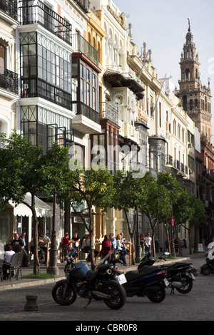 Plaza de San Francisco, Séville, Espagne Banque D'Images