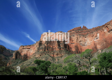 Voir jusqu'à la pierre calcaire de Redwall Jardins indiens le long de la Bright Angel Trail dans le Grand Canyon Banque D'Images