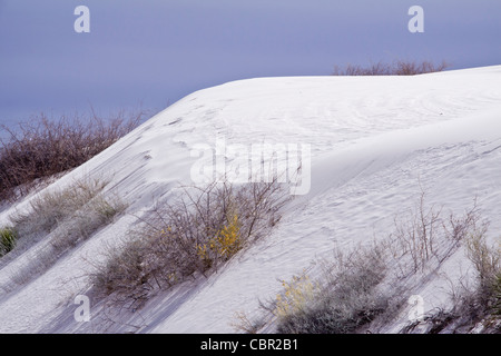 Dunes de sable au parc national de White Sands (anciennement Monument national) au Nouveau-Mexique, une matinée froide en février. Banque D'Images