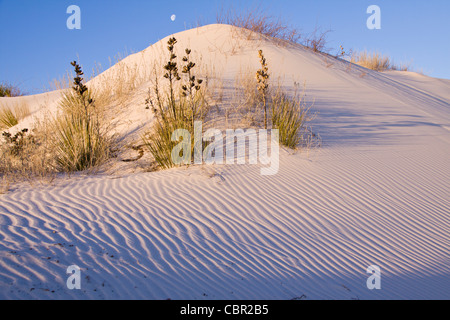 Dunes de sable du White Sands National Monument au Nouveau Mexique par un froid matin de février. Banque D'Images