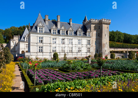 Vallée de la Loire, le château de Villandry Banque D'Images