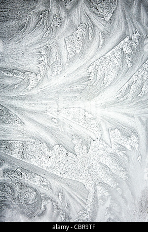 Frosty modes sur une vitre de fenêtre Banque D'Images