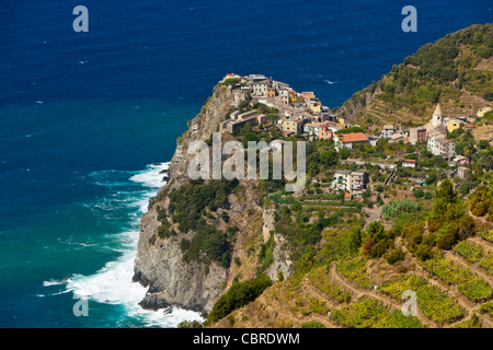 Corniglia, Parc National des Cinque Terre, Province de La Spezia, Ligurie, Italie du Nord, en Europe Banque D'Images