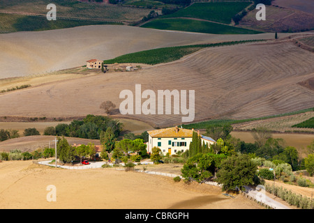 Paysage près de Montepulciano, Province de Sienne, Toscane, Italie, Europe Banque D'Images