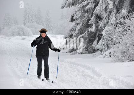 Senior woman Nordic Ski de fond / ski de fond dans la neige en hiver à la réserve naturelle des Hautes Fagnes / Hautes Fagnes, Belgique Banque D'Images