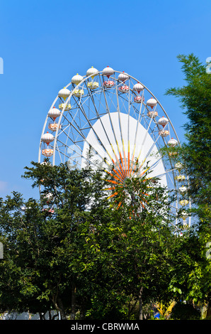 Grande roue de Ferris dans ciel bleu clair derrière des arbres au Royal Flora Ratchaphruek à Chiang Mai Thaïlande Banque D'Images