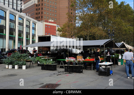 Ciel bleu de l'arborescence d'automne en plein air légumes verts cale et shoppers, Brooklyn Borough Hall Greenmarket, Columbus Plaza, NY Banque D'Images