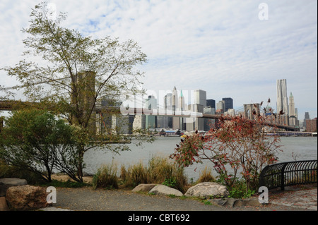 Les arbres d'automne voir l'East River, pont de Brooklyn, en direction de grattes-ciel de Manhattan Pier 17, de Fulton Ferry Park, Brooklyn Dumbo, NY Banque D'Images