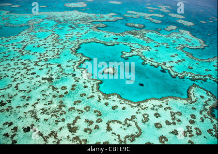Vues aériennes de beau coeur de corail dans la spectaculaire Grande Barrière de Corail près de îles Whitsunday dans le Queensland, Australie. Banque D'Images