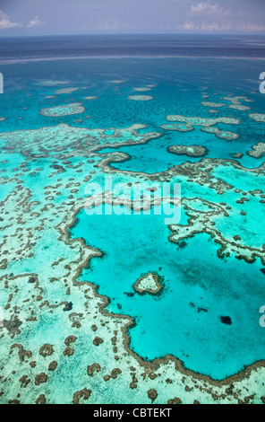 Vues aériennes de beau coeur de corail dans la spectaculaire Grande Barrière de Corail près de îles Whitsunday dans le Queensland, Australie. Banque D'Images