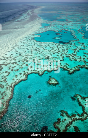 Vues aériennes de beau coeur de corail dans la spectaculaire Grande Barrière de Corail près de îles Whitsunday dans le Queensland, Australie. Banque D'Images