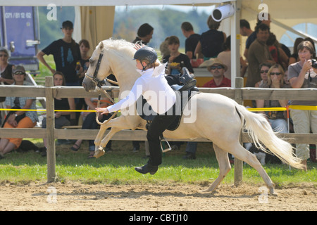 Jeune tombant de cheval pendant une compétition (Rider était indemne.) Banque D'Images