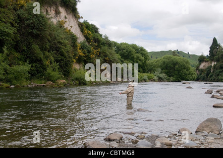 Un pêcheur de mouche bénéficie de l'action de pêche à la truite sur un petit ruisseau dans la Nouvelle-zélande région du lac Taupo sur l'Île du Nord. Banque D'Images