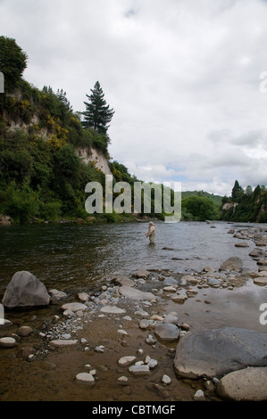 Un pêcheur à la mouche La pêche à la truite bénéficie de l'action sur une petite rivière de la Nouvelle-Zélande dans la région du lac Taupo sur l'Île du Nord. Banque D'Images