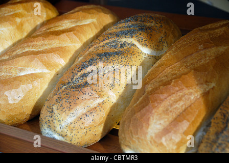 Bloomer pains dans une boulangerie vitrine Banque D'Images