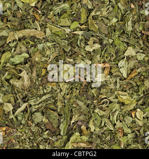 La texture de menthe poivrée séchée Banque D'Images