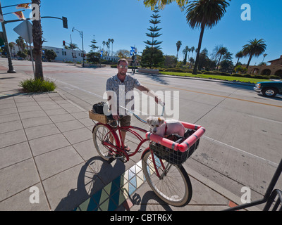 Un jeune adulte promène son beach cruiser bike avec son petit chien dans le panier avant de State Street à Santa Barbara, en Californie. Banque D'Images