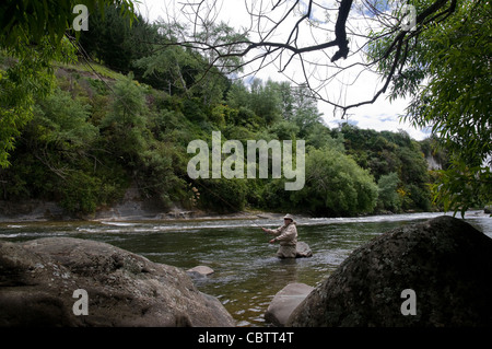 Un pêcheur de mouche bénéficie de l'action de la truite sur une magnifique petite rivière de la Nouvelle-Zélande dans la région du lac Taupo sur l'Île du Nord Banque D'Images