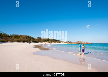 Les Bermudes. Plage de Horseshoe Bay, Bermudes. Banque D'Images