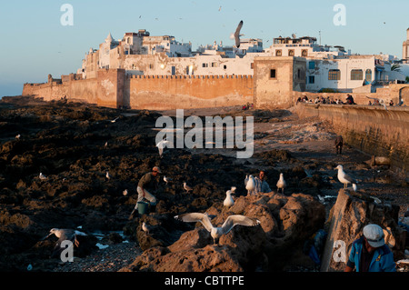 Skala de la ville, Essaouira, Maroc Banque D'Images