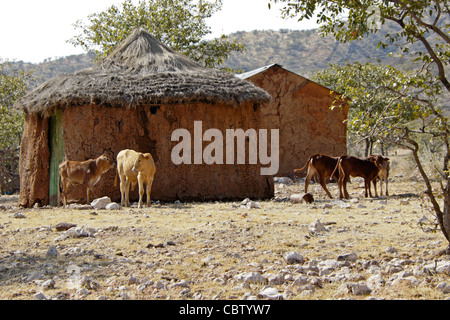 L'extérieur de veaux en cabane de torchis chaume village Herero, Damaraland, Namibie Banque D'Images