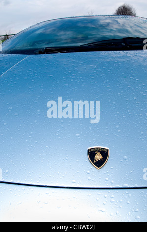 Lamborghini Gallardo Bonnet Banque D'Images