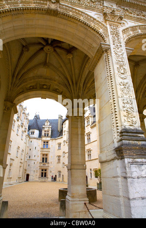 Château de Pau, château de Pau et du Béarn, Pyrénées-Atlantiques, France Banque D'Images