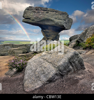 Brimham Rocks. Les Druides Table Bureau. Banque D'Images