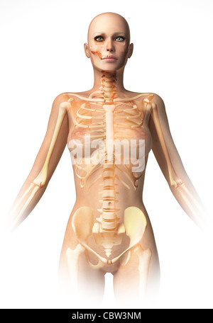 Corps de femme, avec de l'os squelette superposée. With clipping path inclus. Anatomie de l'image. Banque D'Images