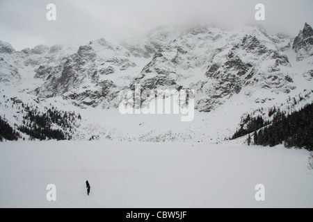 La neige dans les montagnes des Carpates à Zakopane, Pologne l'hiver. Banque D'Images