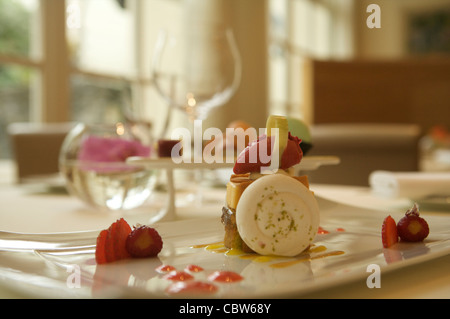 La nourriture de plaqué, le restaurant Patrick Guilbaud, seulement deux étoiles Michelin Restaurant à l'hôtel Merrion Dublin, Irlande. Banque D'Images