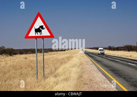 Panneau d'avertissement pour les phacochères sur l'autoroute, la Namibie Banque D'Images