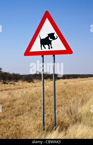 Panneau d'avertissement pour les phacochères sur l'autoroute, la Namibie Banque D'Images