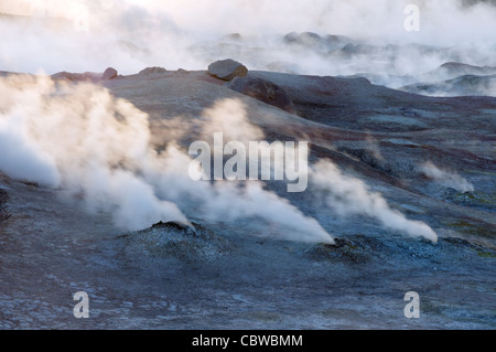 Les fumerolles et les paysages étranges au sol de Manana dans le champ géothermique de la Bolivie près de la frontière Chili/Bolivie Banque D'Images