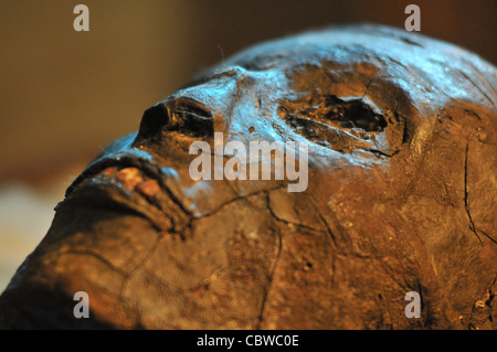 Novembre 23, 2008 -- La momie du roi Toutankhamon dans son tombeau découvert par Howard Carter en 1922, dans la Vallée des Rois. Banque D'Images