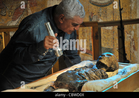 Zahi Hawass examinant King Tut maman à l'intérieur de la tombe du roi Tut dans la Vallée des Rois à Louxor, Egypte Banque D'Images